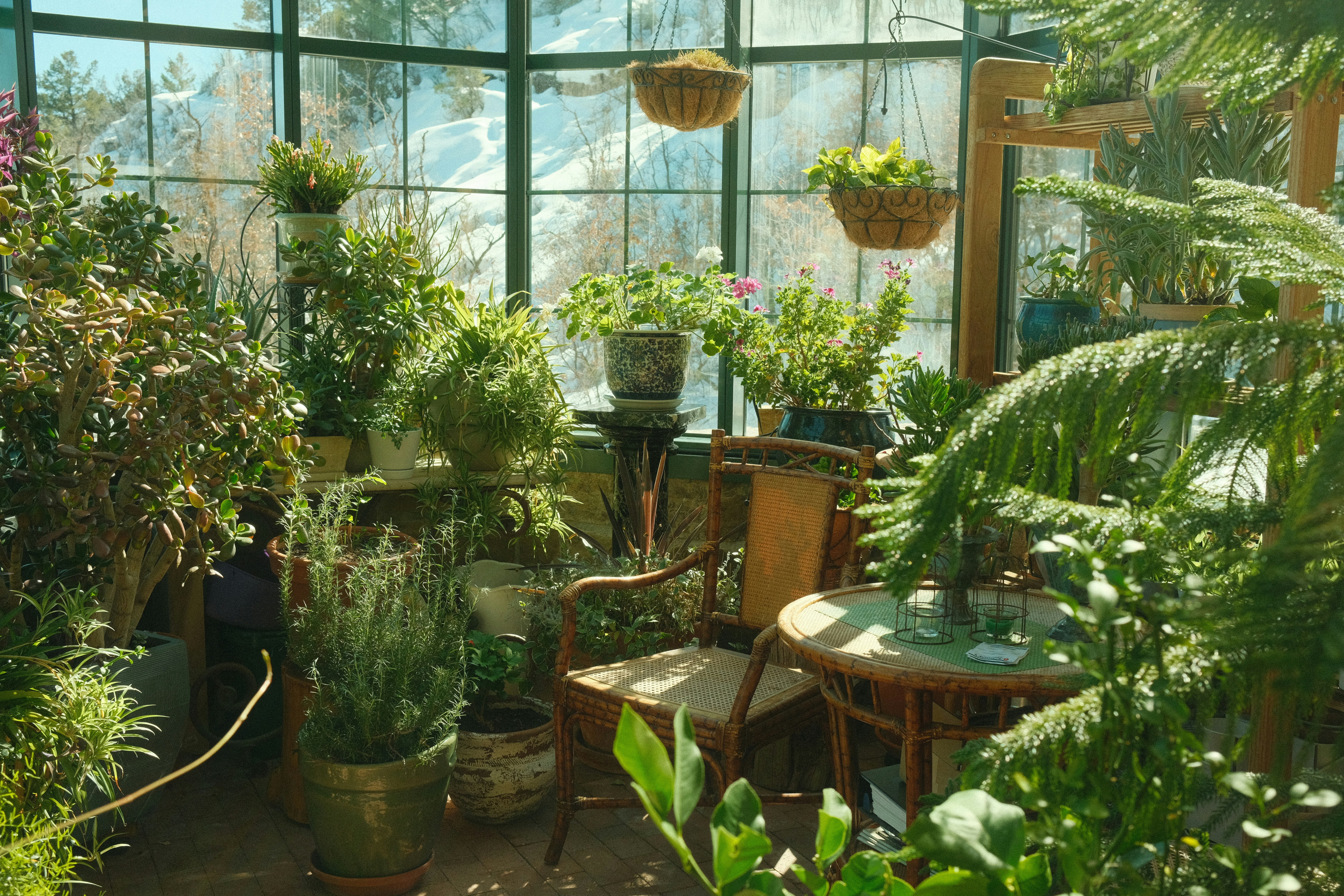 Greenhouse